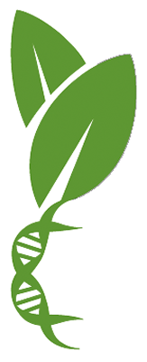 logo_background-gilman.png