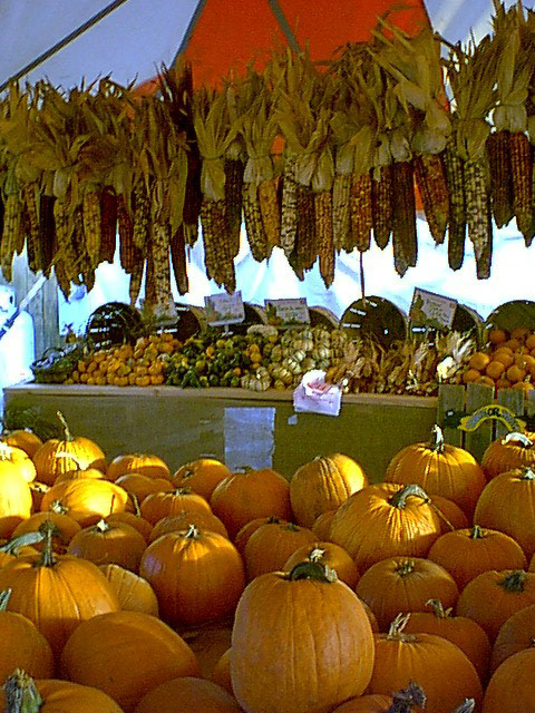 cornandpumpkins.jpg